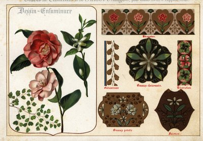 Afbeeldingen van camelia