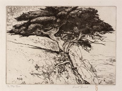 De waaierboom door Ernest Haskell