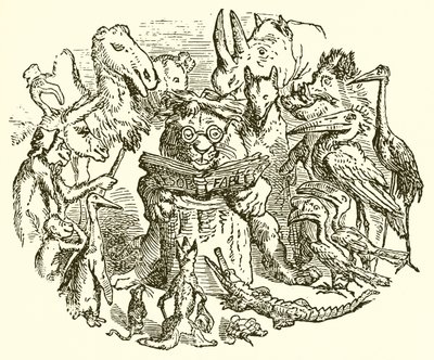 Aesopus