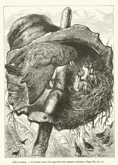 LEpouvantail, De goede moeder bracht hen hun gewone kost door Ernest Henry Griset