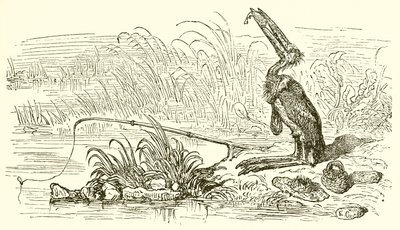 De visser en de kleine vis door Ernest Henry Griset
