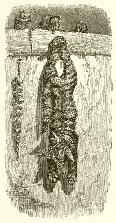 De Kat en de Muizen door Ernest Henry Griset