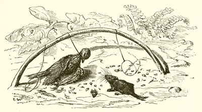 De Vogelvanger en de Leeuwerik door Ernest Henry Griset