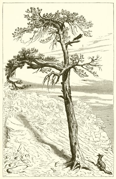 De Vos en de Bemanning door Ernest Henry Griset
