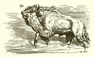 De Mug en de Stier door Ernest Henry Griset