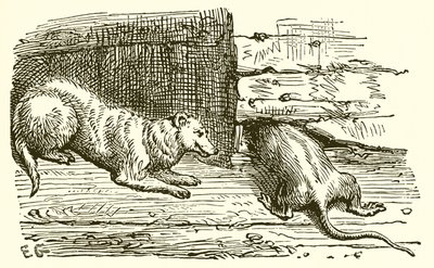 De Muis en de Wezel door Ernest Henry Griset