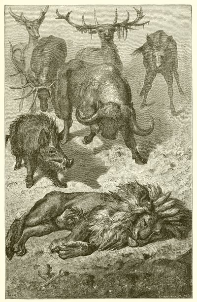 De oude leeuw door Ernest Henry Griset
