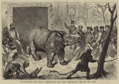 Het Overbrengen van de Harige Neushoorn van haar Reiskooi naar haar Hok door Ernest Henry Griset