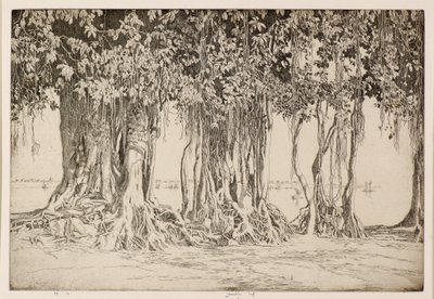 De Banyanboom door Ernest Stephen Lumsden