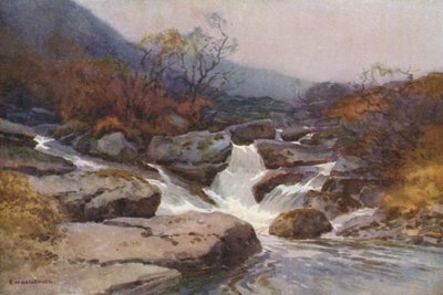 Een Dartmoor Stroom (kleur litho) door Ernest William Haslehust