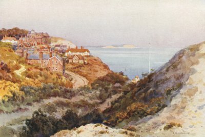 Boscombe Chine door Ernest William Haslehust