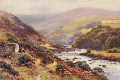 Dartmeet door Ernest William Haslehust