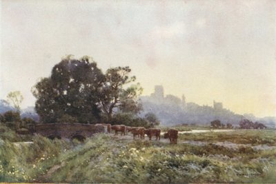 Dorchester vanuit de Weiden (kleur litho) door Ernest William Haslehust