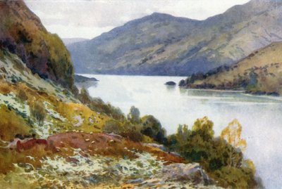 Loch Lomond vanaf Inversnaid door Ernest William Haslehust