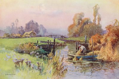 Rivier de Theems: zijtak naar de Wey door Ernest William Haslehust