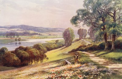 Rivier de Theems: Bourne End vanaf Quarry Hill door Ernest William Haslehust