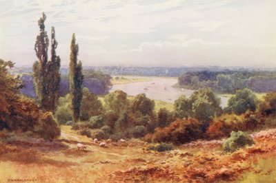 Rivier de Theems: de Theems, vanaf Richmond Hill door Ernest William Haslehust