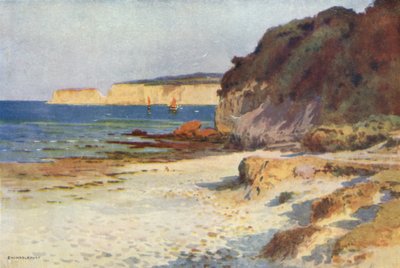 Studland Baai door Ernest William Haslehust