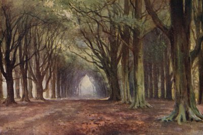 De Beukenlaan, Thoresby door Ernest William Haslehust