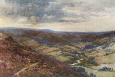 De Moors bij Hackness door Ernest William Haslehust