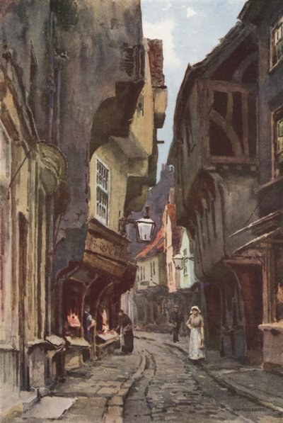 The Shambles door Ernest William Haslehust