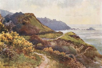 Ventnor vanaf de Steephill Walk door Ernest William Haslehust