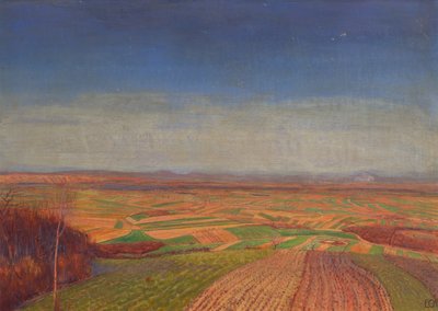 Marchfeld vanaf de Bisamberg door Ernst Eck