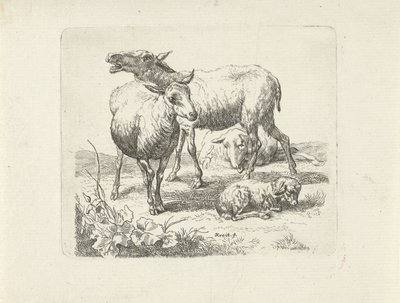 Drie schapen en een lammetje in een weide door Ernst Ludwig Creite