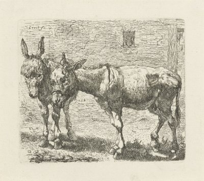 Twee ezels door Ernst Ludwig Creite
