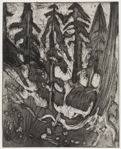  door Ernst Ludwig Kirchner