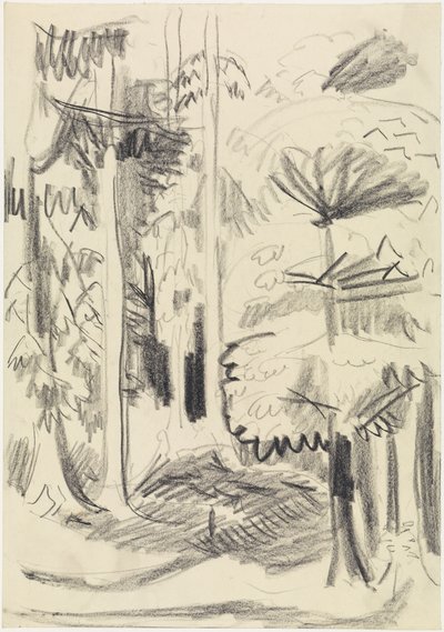  door Ernst Ludwig Kirchner