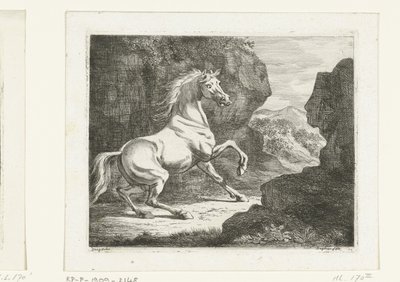 Stuiterende witte hengst door Ernst Willem Jan Bagelaar