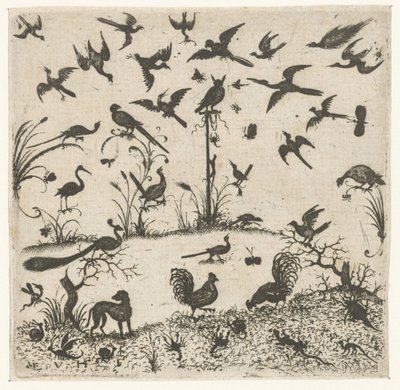 Vogels door Esaias van Hulsen