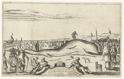 Gestrande walvis op het strand te Noordwijk, 1614 door Esaias van de Velde