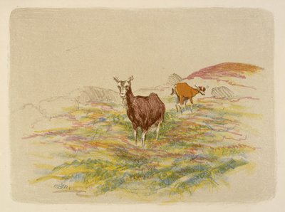 Geiten in een veld door Esther Blaikie MacKinnon