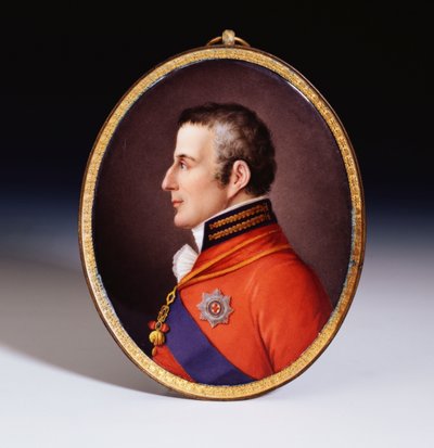 Een ongeregistreerde Sevres ovale portret plaquette van de hertog van Wellington (1769-1852), in volledige dress uniform, dragend de Orde van het Gulden Vlies en de Ster en Sjerp van de Orde van de Kousenband door Etienne Charles Leguay