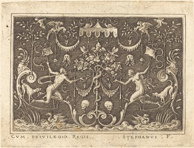 De Val van de Mens door Etienne Delaune