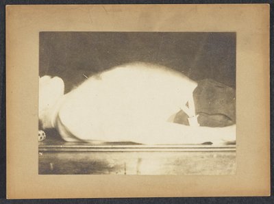 Marey in een studie van ademhaling door Etienne Jules Marey