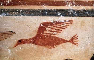 Een vogel (detail van fresco, 530 v.Chr.) door Etruscan