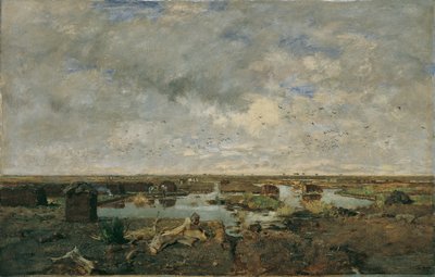 Groot moeraslandschap door Eugen Jettel