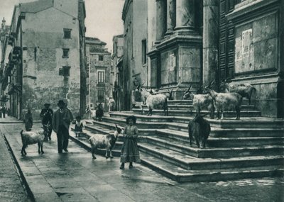 Geiten op de trappen van de Kathedraal, Palermo, Sicilië, Italië, 1927 door Eugen Poppel