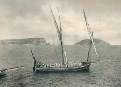 Zeilboot in de haven van Napels, Italië, 1927 door Eugen Poppel