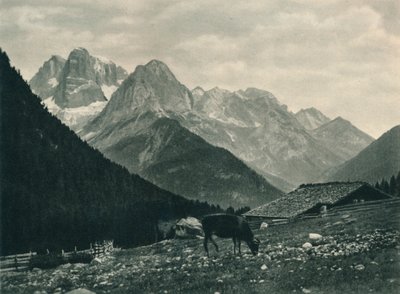 Uitzicht op de Brenta-groep met alpenweide, Madonna di Campiglio, Dolomieten, Italië, 1927 door Eugen Poppel