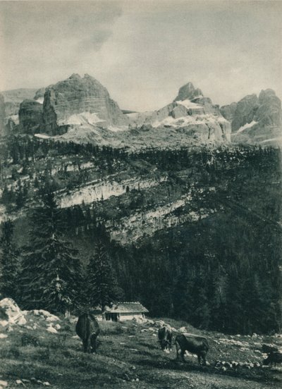 Uitzicht op de Brenta-groep met alpenweide, Madonna di Campiglio, Dolomieten, Italië door Eugen Poppel