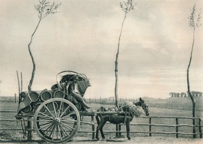 Wijn-drager in de Campagna, Rome, Italië, 1927 door Eugen Poppel