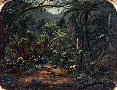 Ferntree Gully in de Dandenong Ranges door Eugen von Guerard