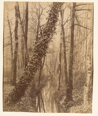  door Eugène Atget