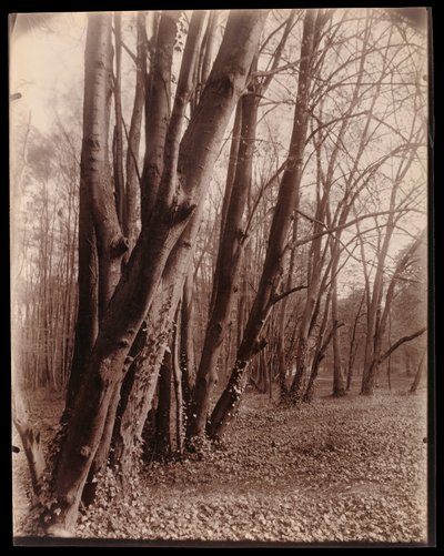  door Eugène Atget