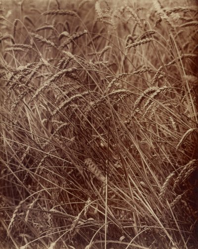  door Eugène Atget