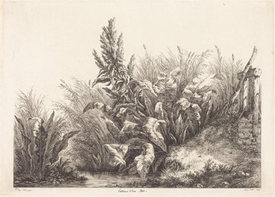 Waterzuring, studie door Eugene Bléry
